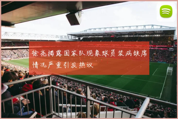 徐亮揭露国家队现象球员装病缺席情况严重引发热议