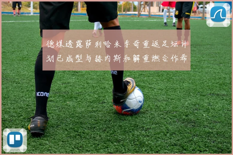 德媒透露萨利哈米季奇重返足坛计划已成型与赫内斯和解重燃合作希望