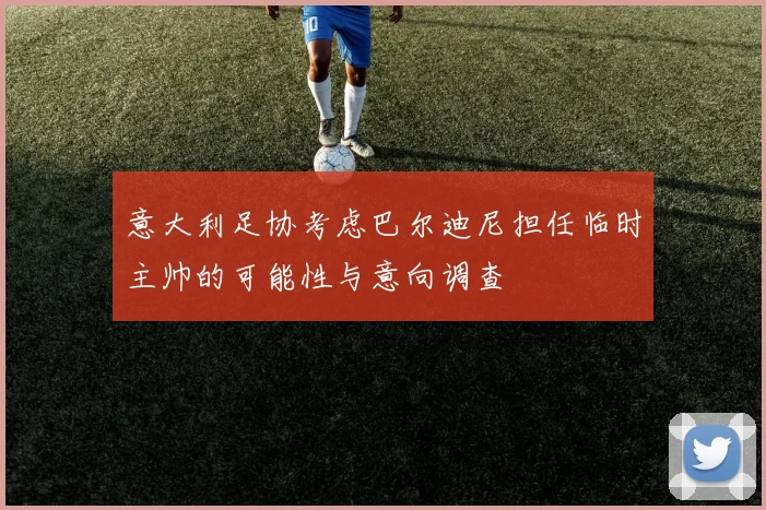 意大利足协考虑巴尔迪尼担任临时主帅的可能性与意向调查
